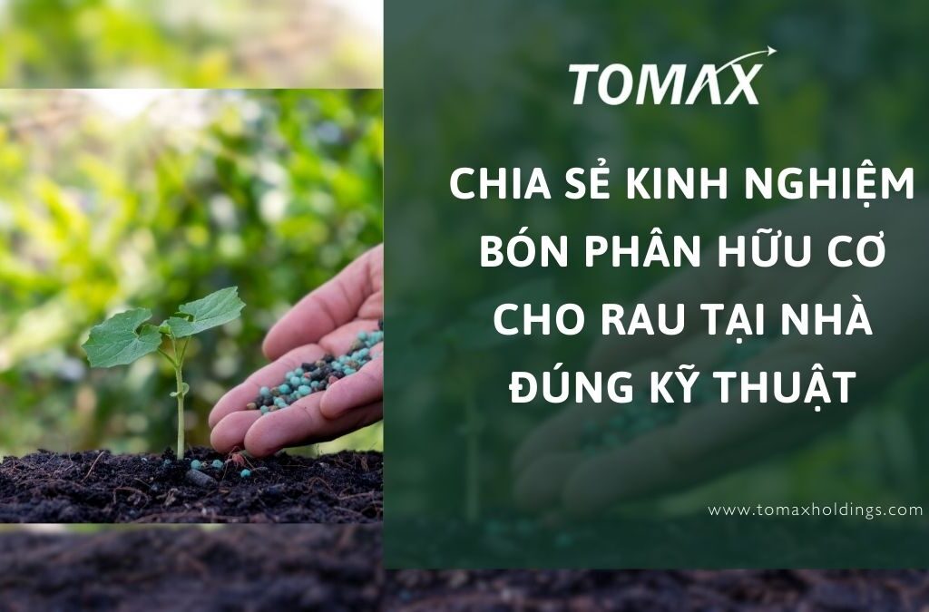 Chia sẻ kinh nghiệm bón phân hữu cơ cho rau tại nhà đúng kỹ thuật 1 bón phân hữu cơ cho rau
