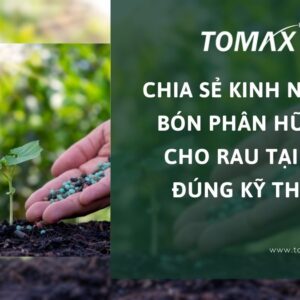 bón phân hữu cơ cho rau