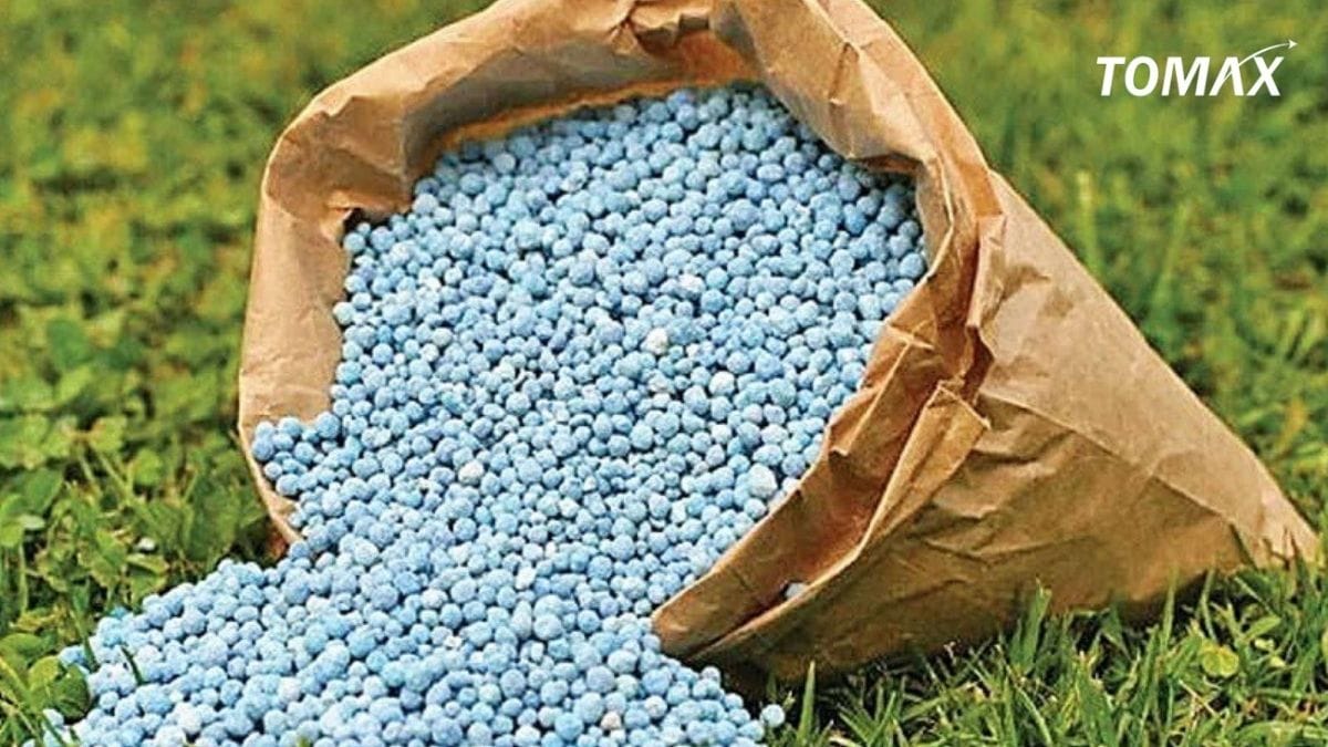 bón phân hữu cơ cho rau bảo lâu thì ăn được