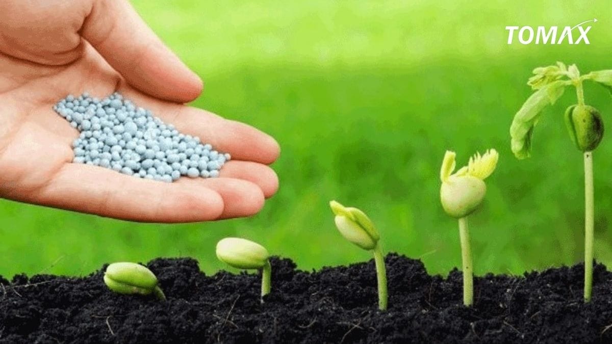 bón phân hữu cơ cho rau sạch