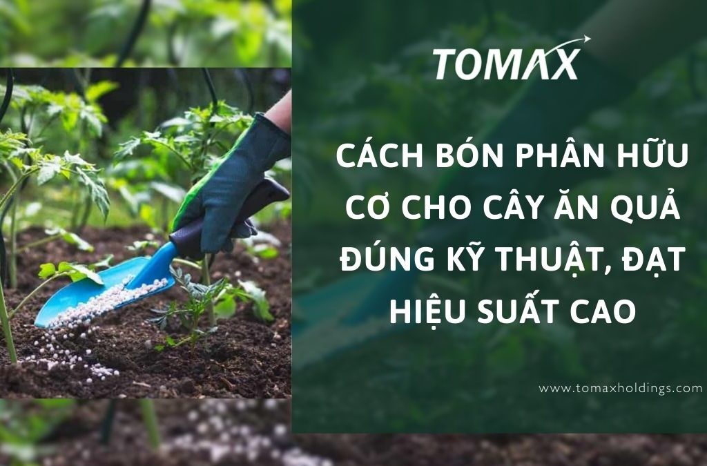 Cách bón phân hữu cơ cho cây ăn quả đúng kỹ thuật, đạt hiệu suất cao 1 bón phân hữu cơ cho cây ăn quả