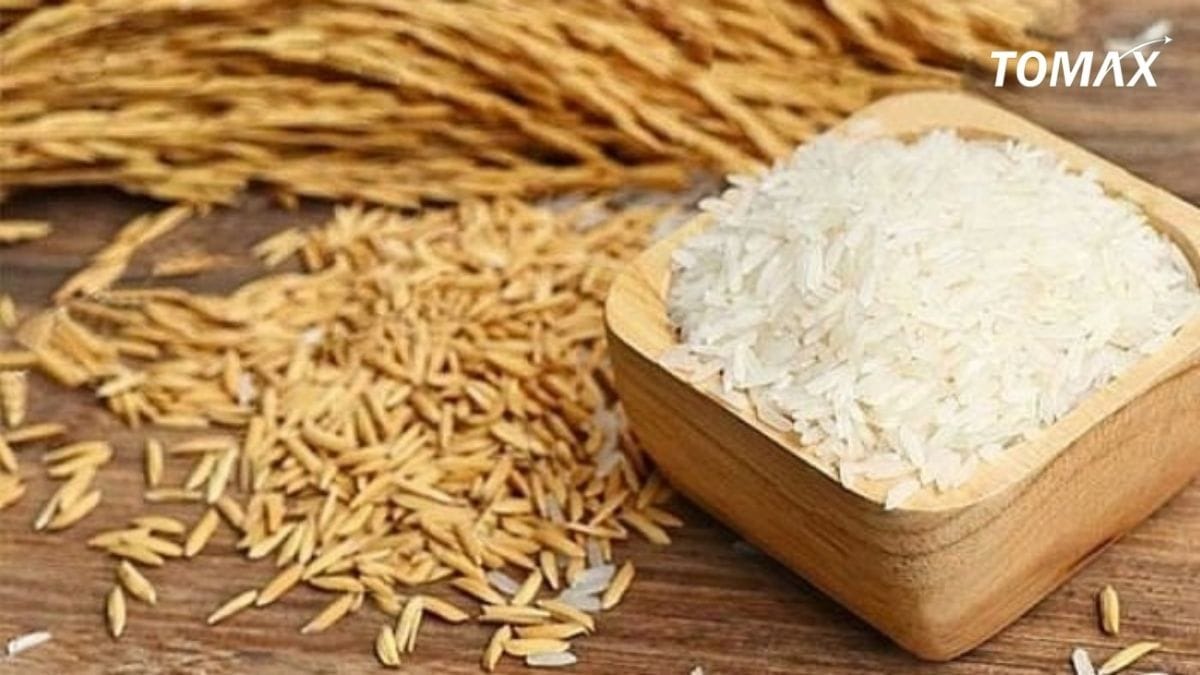 giá gạo thơm hương lài