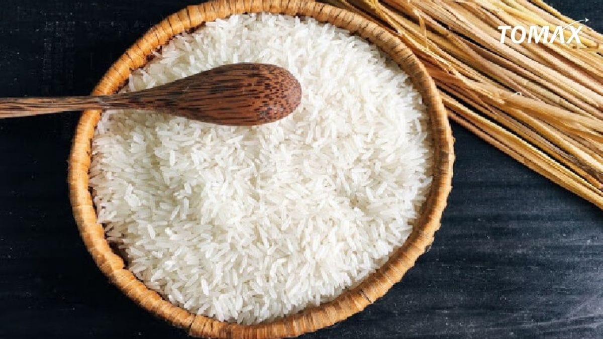 gạo jasmine là gì