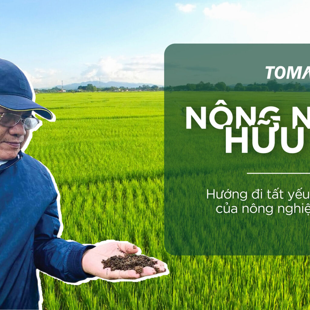 TOMAX Holdings tạo ra dấu ấn tiên phong tạo ra chuỗi giá trị lúa gạo hữu cơ khép kín 1 Tomax Holdings tạo ra dấu ấn tiên phong tạo ra chuỗi giá trị lúa gạo hữu cơ khép kín