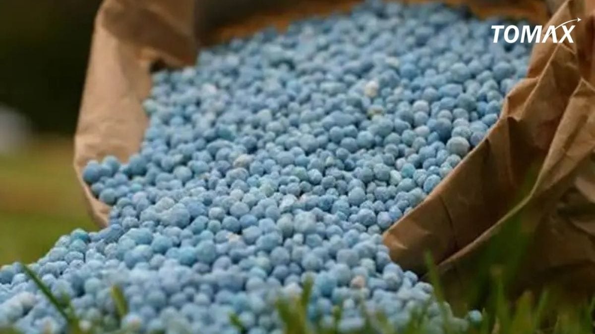 đại lý phân bón npk