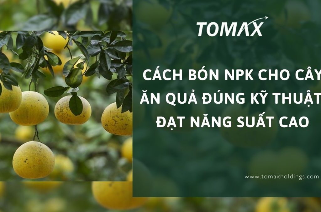 cách bón npk cho cây ăn quả