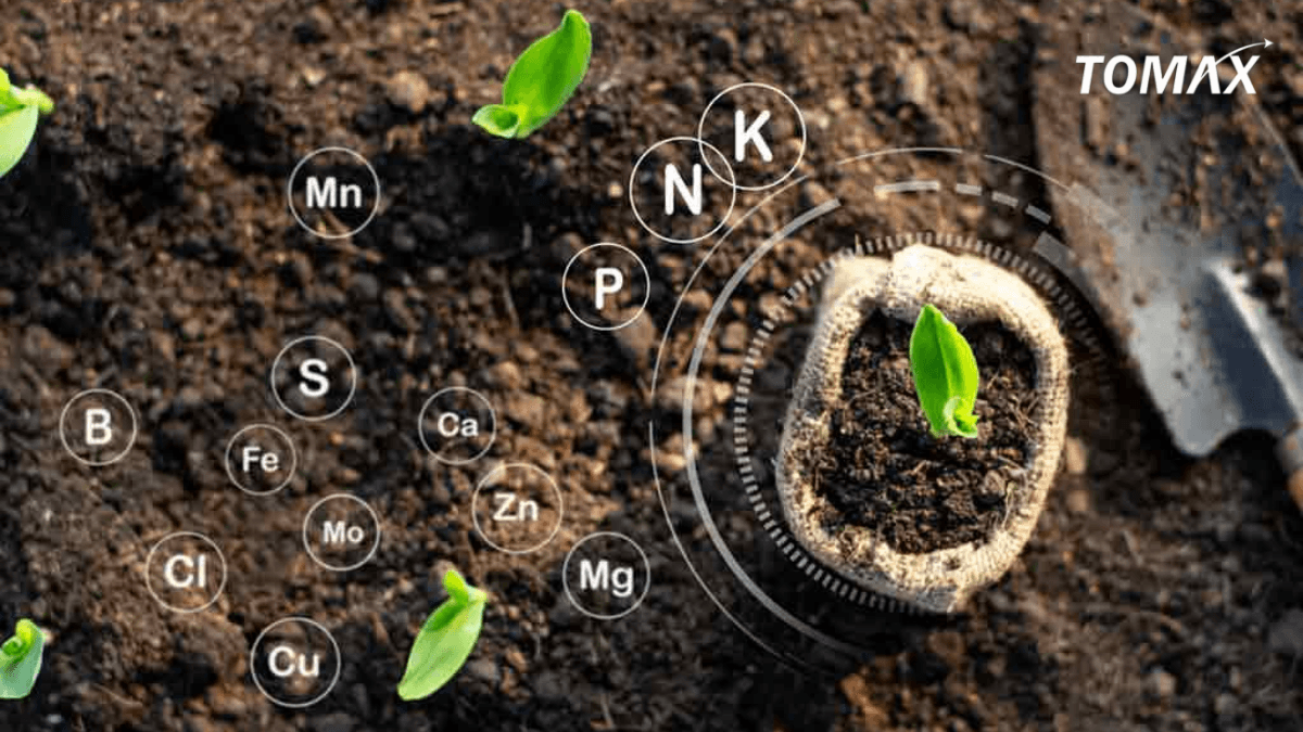 Kết hợp phân bón hữu cơ với các phương pháp khác