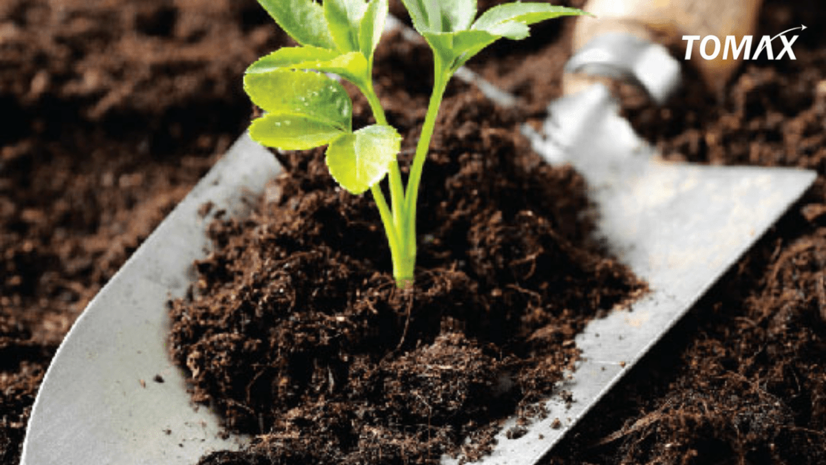 mua phân bón hữu cơ ở đâu