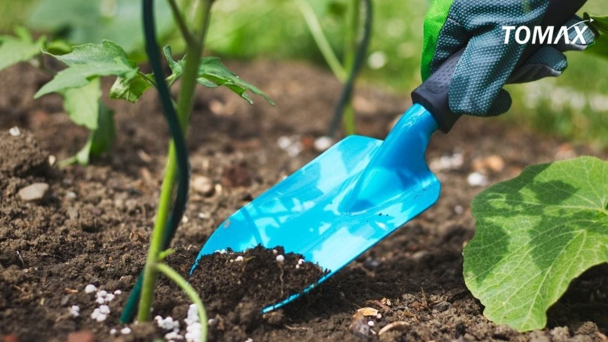 bón phân hữu cơ bao lâu thì thu hoạch