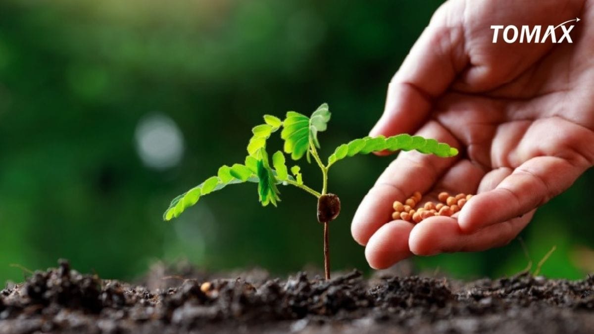 bón nhiều phân hữu cơ đất trồng cơ bị ảnh hưởng gì không