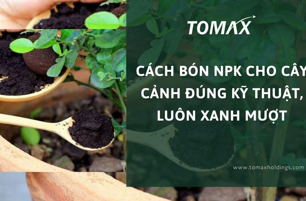 cách bón npk cho cây cảnh