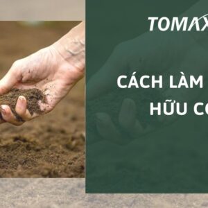 cách làm mùn hữu cơ