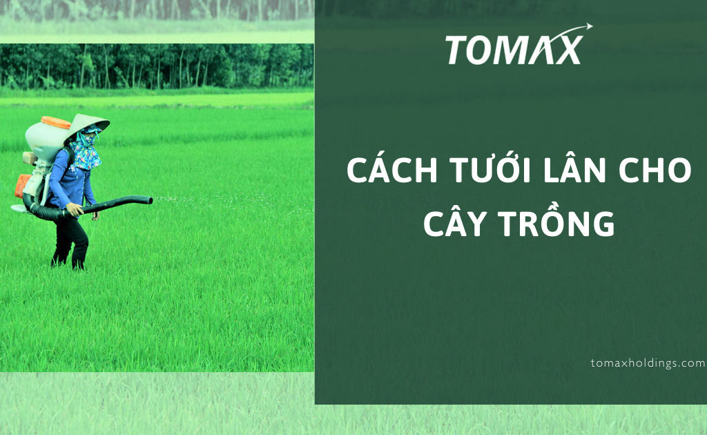 cách tưới lân cho cây