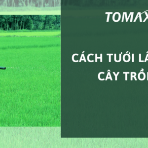 cách tưới lân cho cây