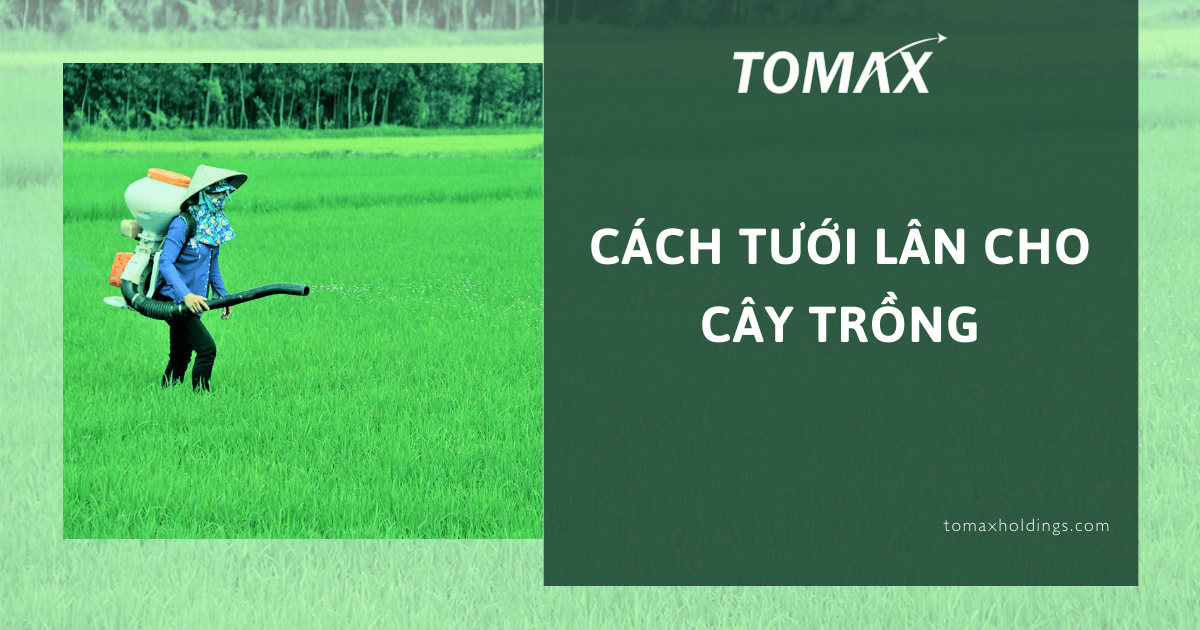 cách tưới lân cho cây
