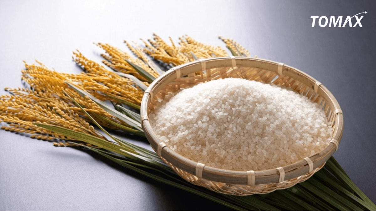 cửa hàng gạo giá tốt tại quận Thủ Đức