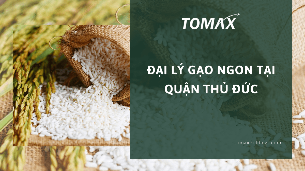đại lý gạo ngon tại quận Thủ Đức