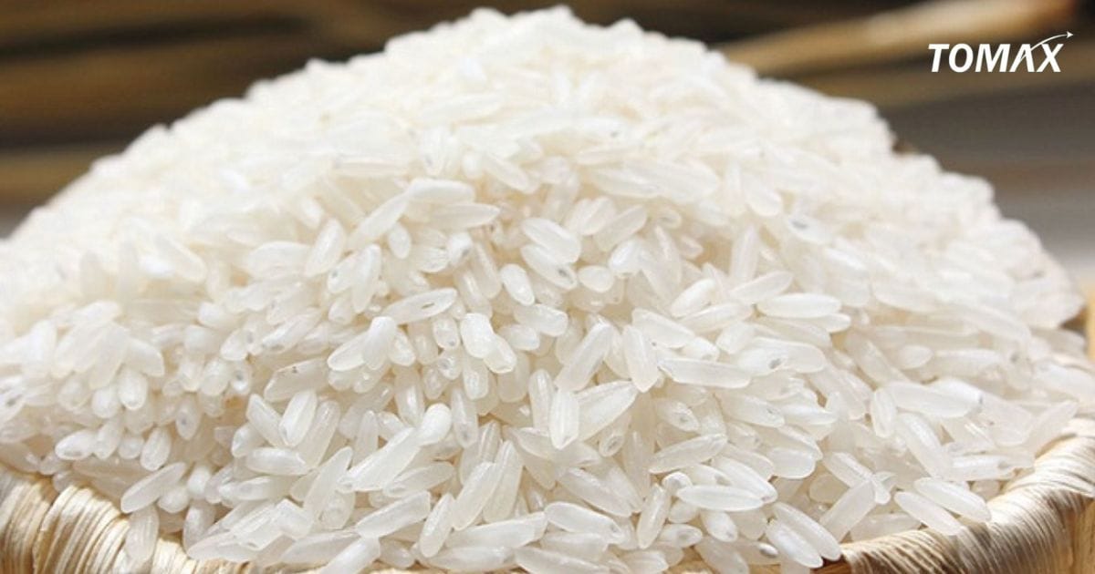 mua gạo 504 ngon ở đâu