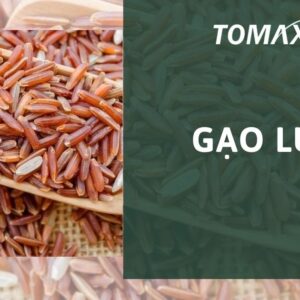 gạo lứt