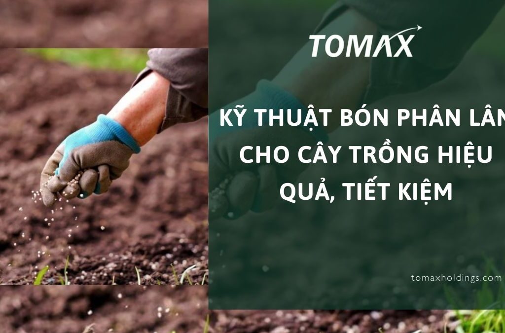 Kỹ thuật bón phân lân cho cây trồng hiệu quả, tiết kiệm 1 kỹ thuật bón phân lân cho cây trồng