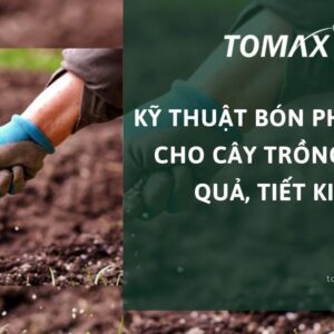 kỹ thuật bón phân lân cho cây trồng