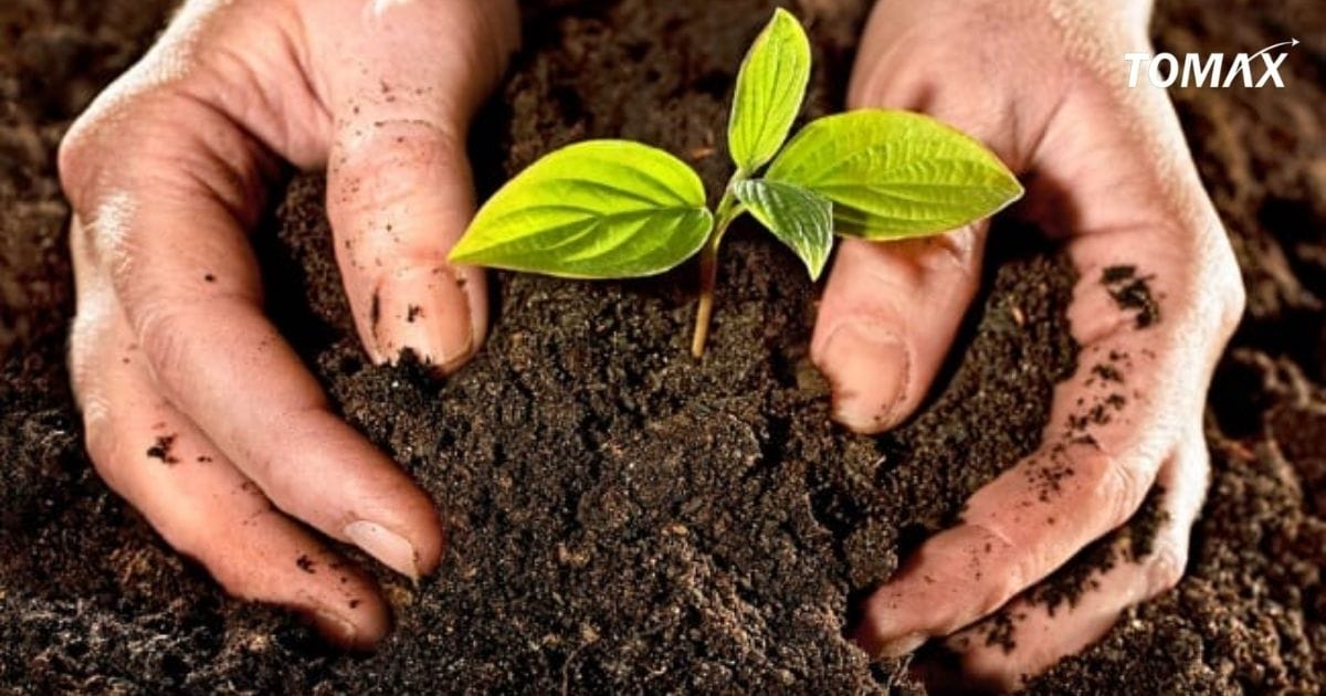 công dụng của mùn hữu cơ đối với cây