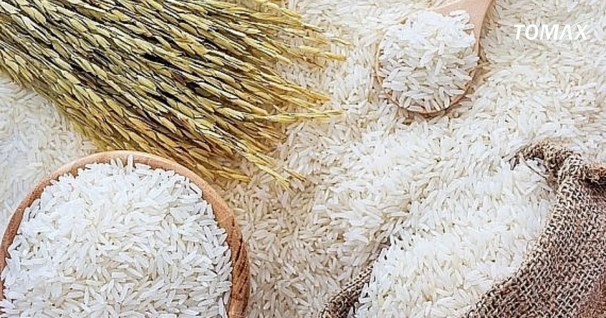 lưu ý khi chọn gạo ngon