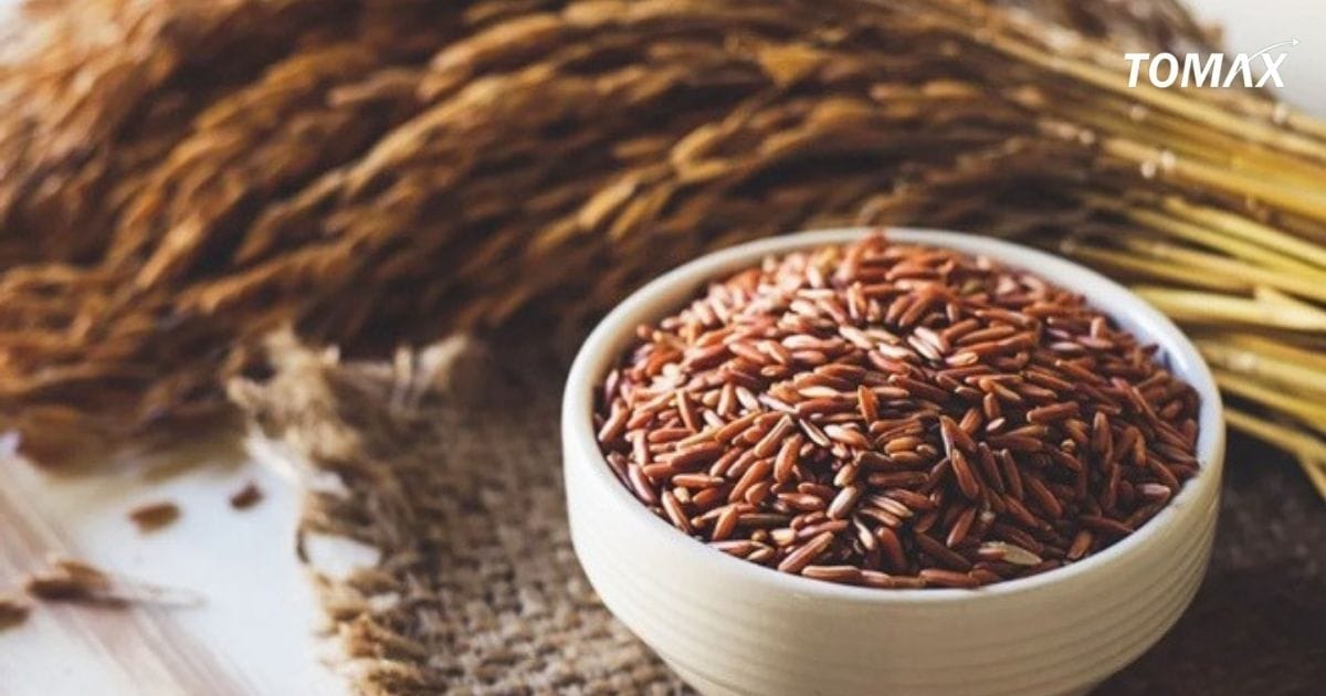 sử dụng gạo lứt cần lưu ý gì