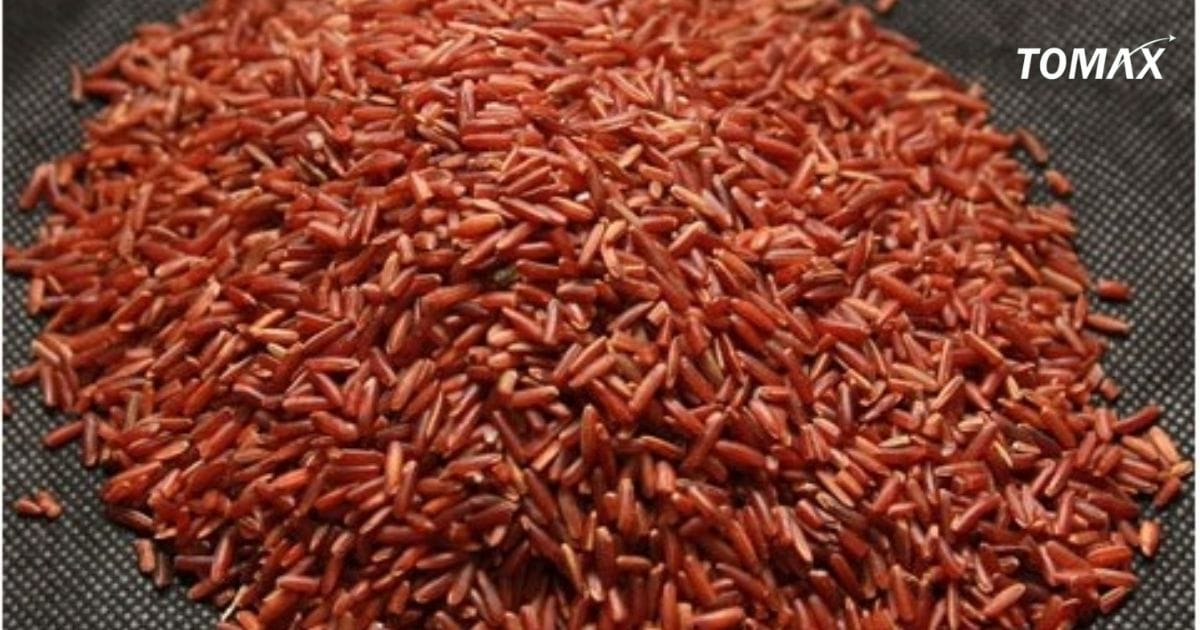 gạo lứt đỏ nấu món gì ngon