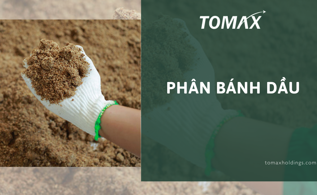phân bánh dầu