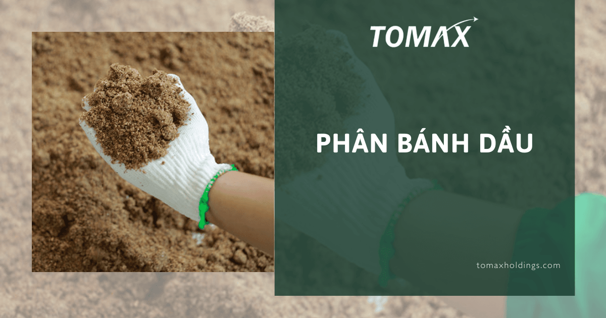 phân bánh dầu