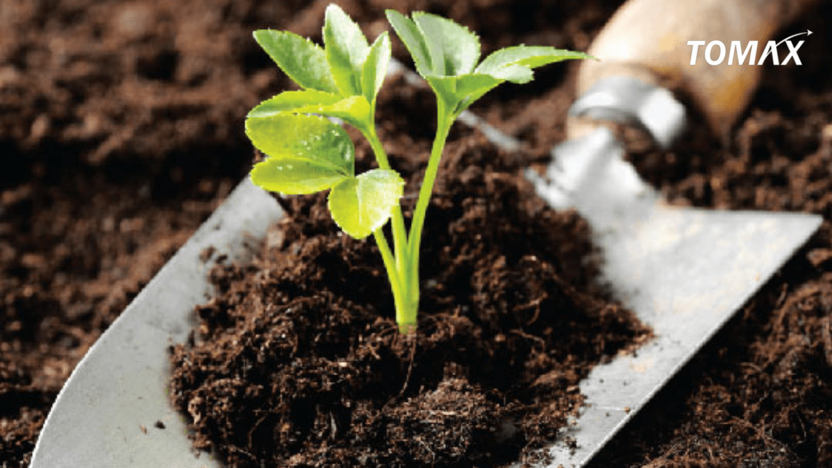 phân bón vi sinh cố định đạm là gì