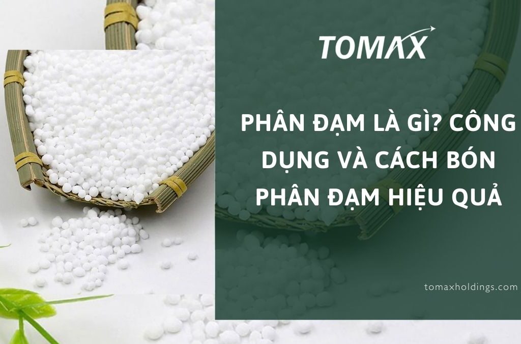 Phân đạm là gì? Công dụng và cách bón phân đạm hiệu quả 1 phân đạm
