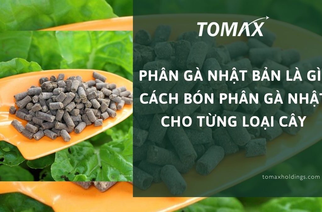 Phân gà Nhật Bản là gì? Cách bón phân gà Nhật cho từng loại cây 1 Phân gà Nhật Bản