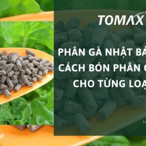Phân gà Nhật Bản