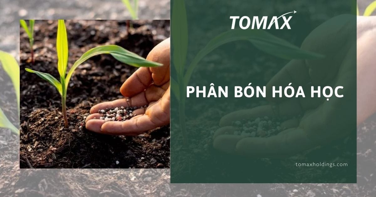 Phân hóa học