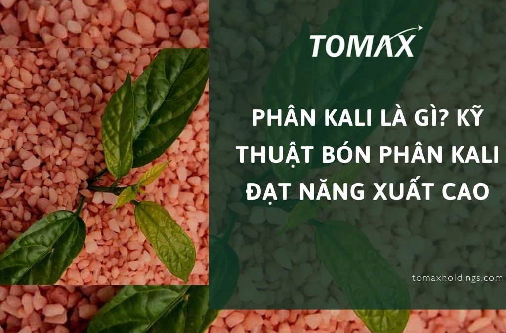 Phân Kali là gì? Kỹ thuật bón phân Kali đạt năng xuất cao 1 phân kali