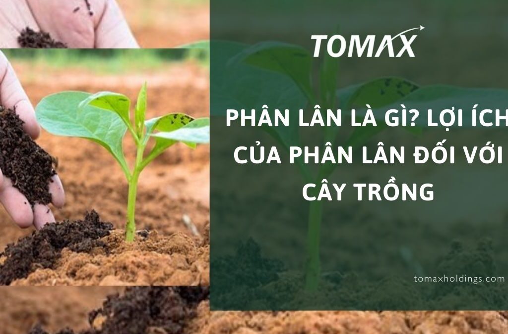 Phân lân là gì? Lợi ích của phân lân đối với cây trồng 1 Phân lân là gì