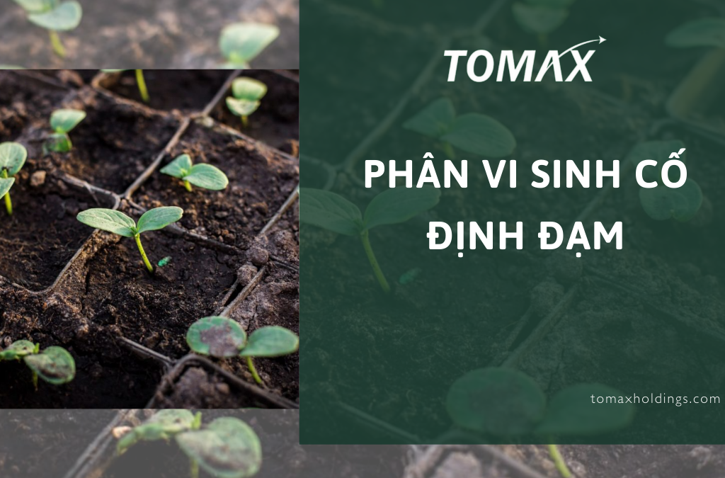 phân vi sinh cố định đạm