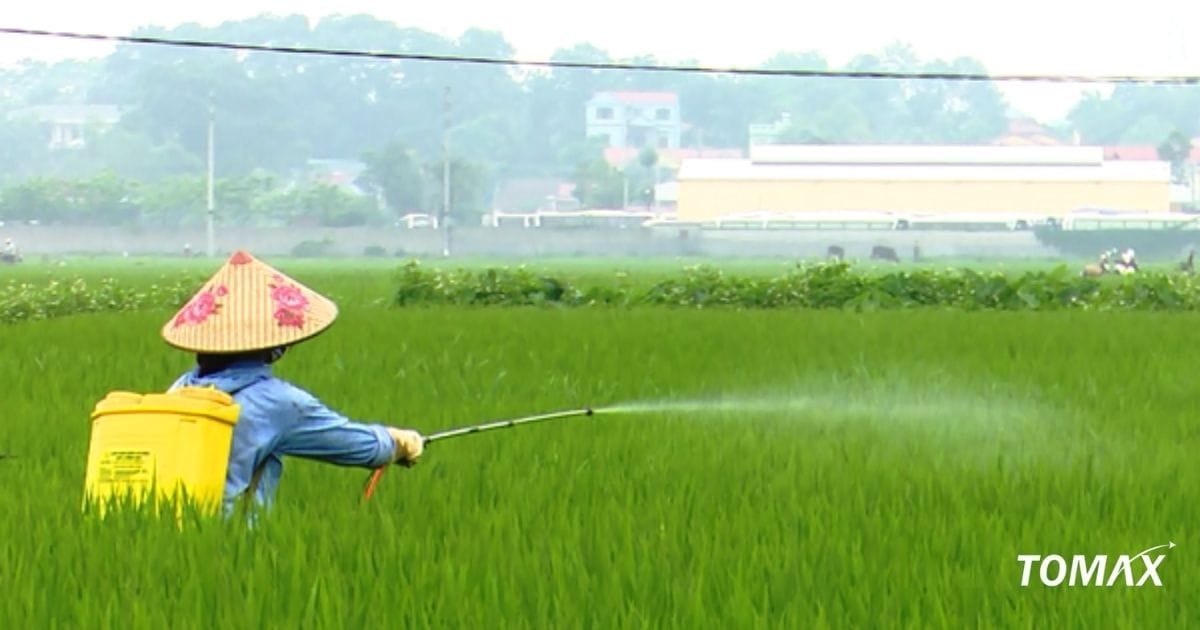 cách chăm sóc cây trồng