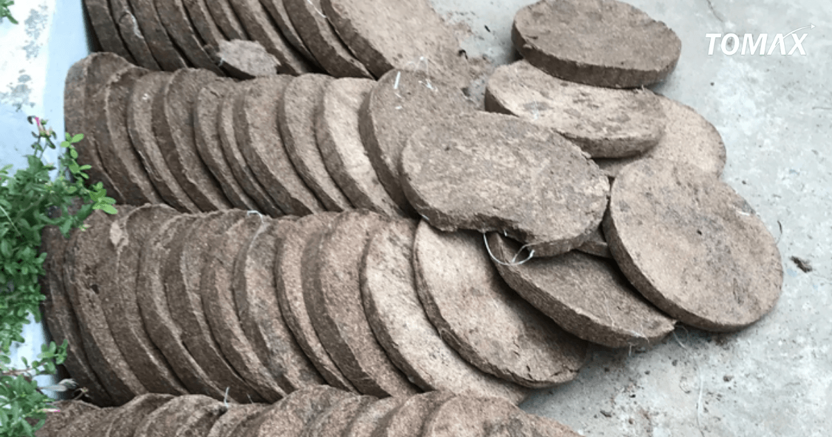 phương pháp ủ bánh dầu