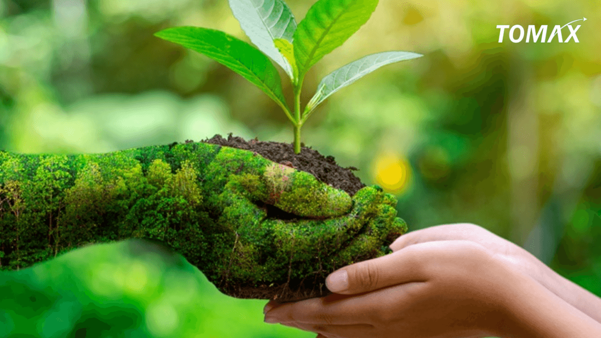 vai trò của phân vi sinh cố định đạm