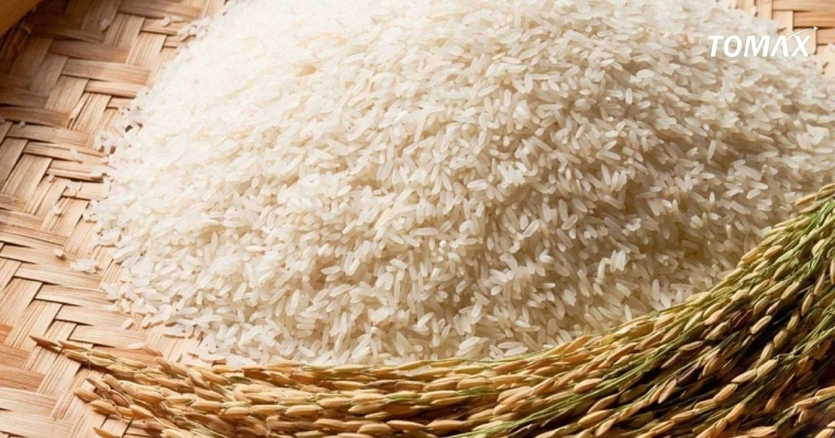 giá trị dinh dưỡng trong hạt gạo