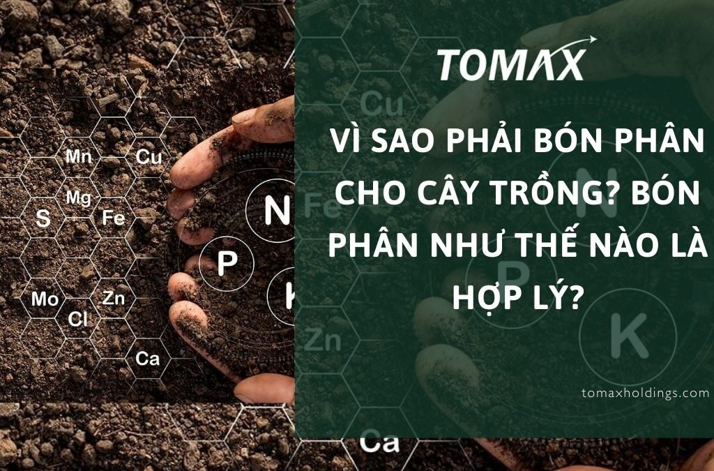 Vì sao phải bón phân cho cây trồng? Bón phân như thế nào là hợp lý? 1 vì sao phải bón phân cho cây trồng
