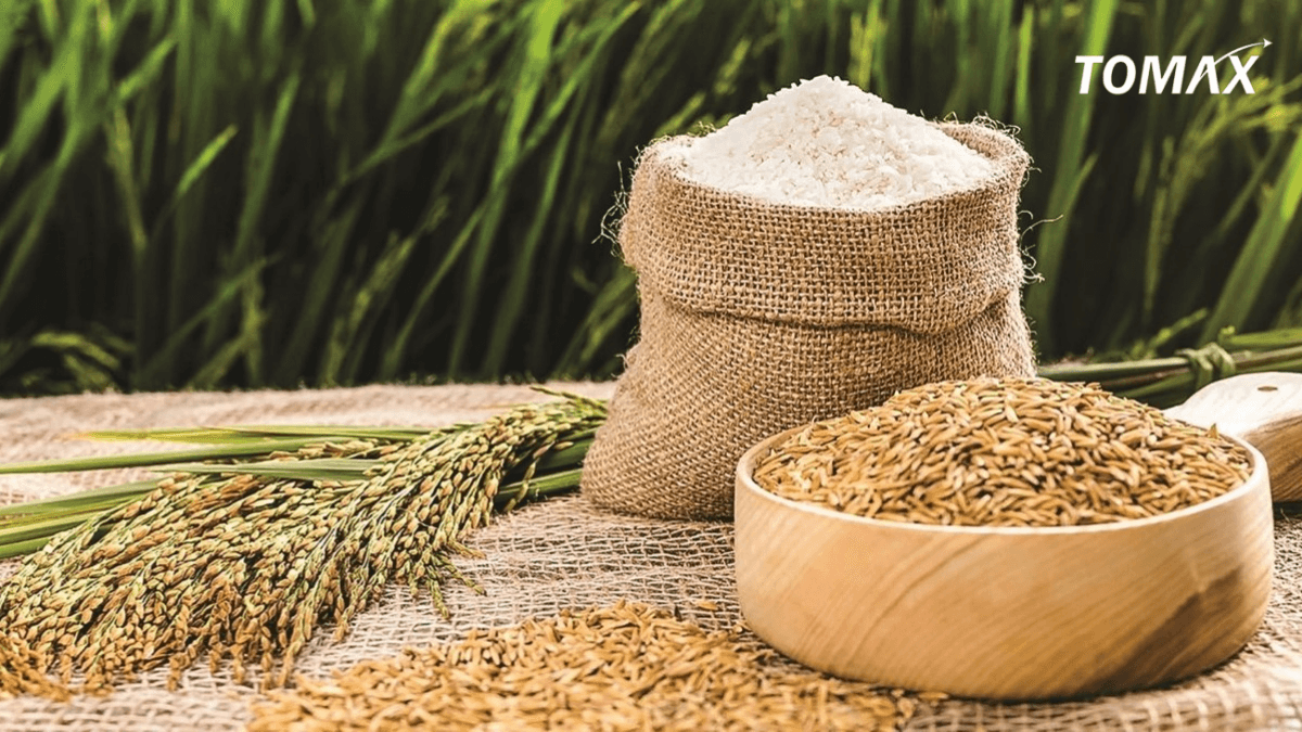 vựa gạo thành phố thủ đức