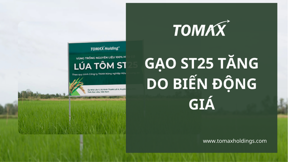 Gạo ST25