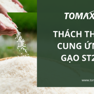 Gạo ST25