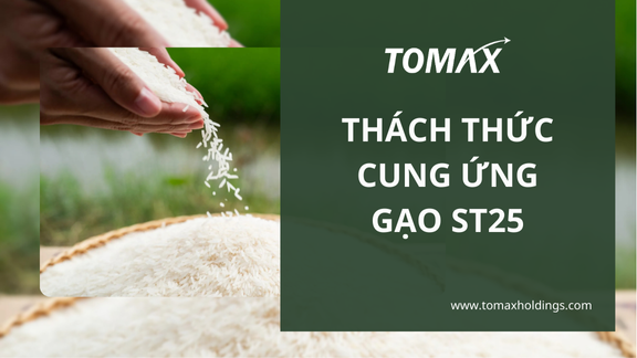 Gạo ST25