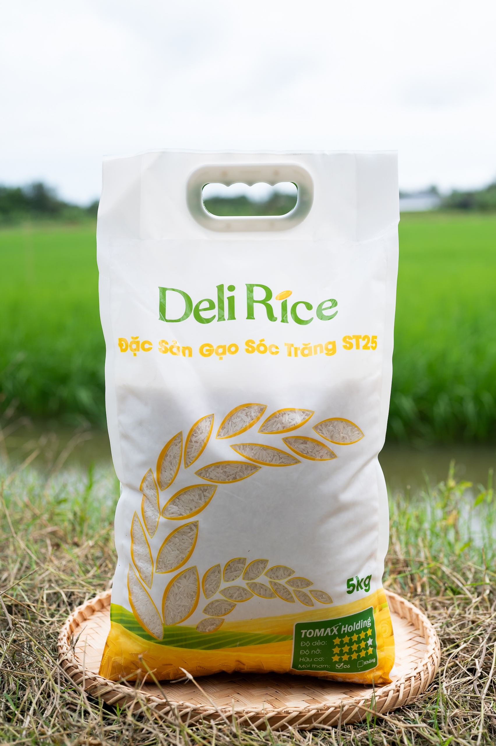 Các lợi ích của gạo ST25 đối với sức khỏe cho người tiểu đường