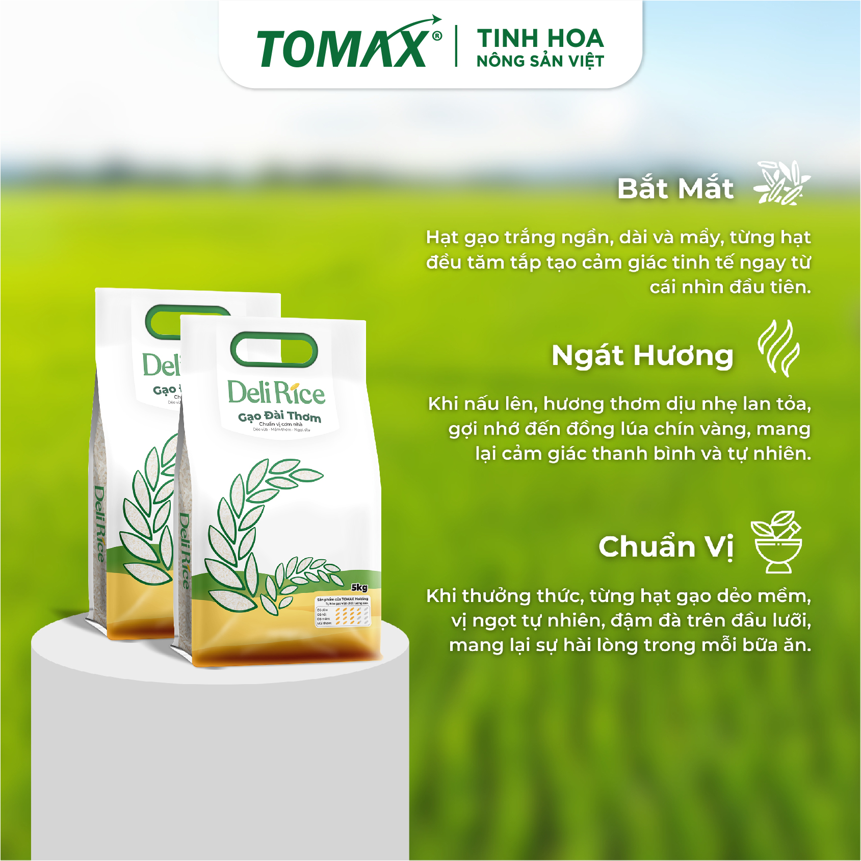 Combo 2 túi Gạo Deli Rice Gạo Đài Thơm 5kg 5 Combo 2 túi Gạo Deli Rice Gạo Đài Thơm 5kg - Ảnh 5